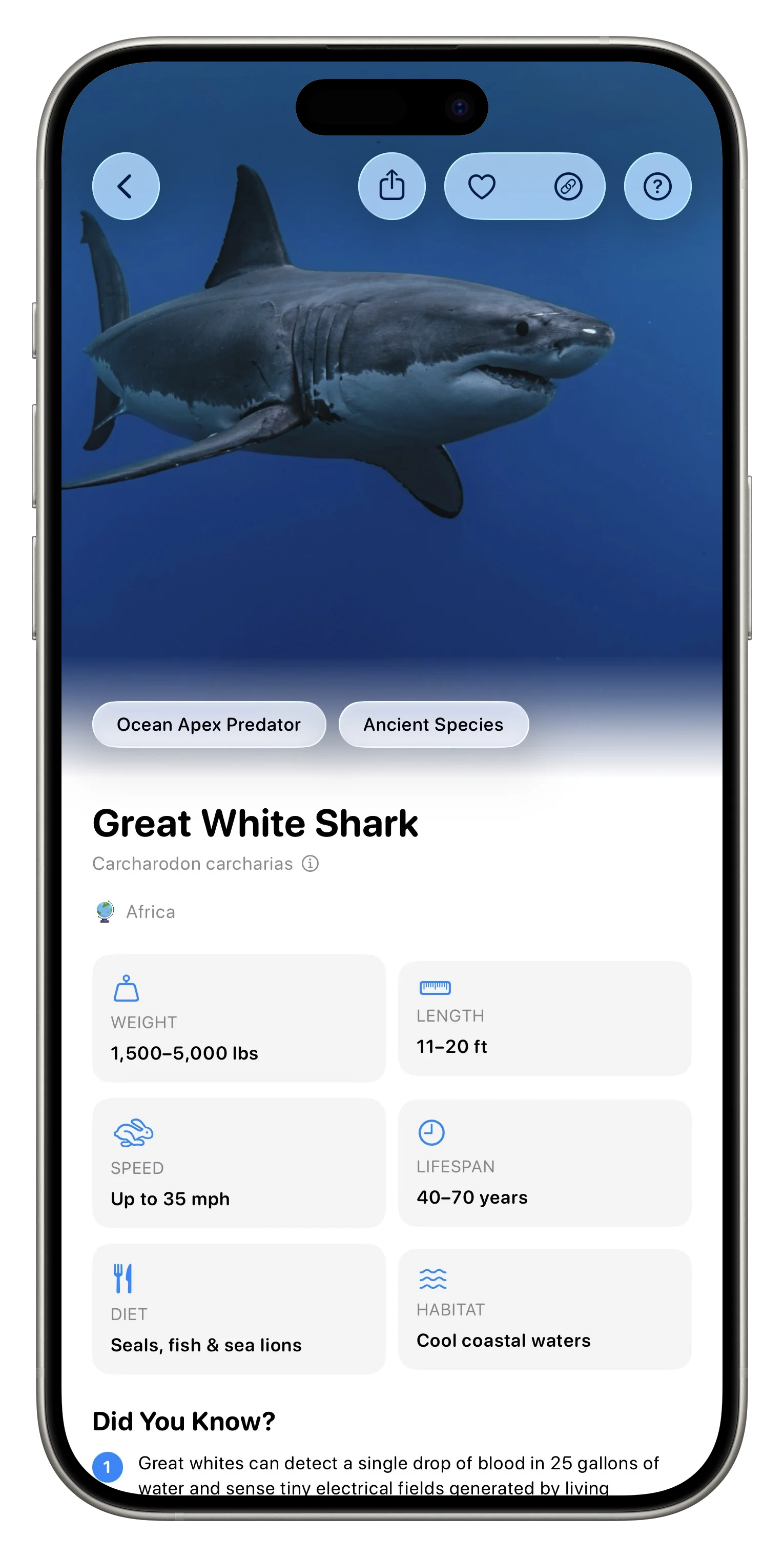 Fauna App Screenshot